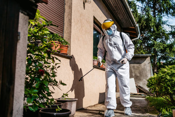 Best Rat Extermination Near Me  in Grosse Pointe Farms, MI