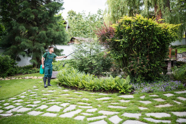 Best Bird Control  in Grosse Pointe Farms, MI