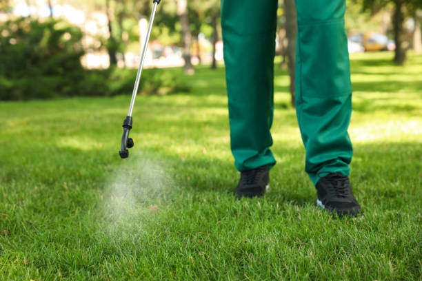Pest Prevention Services in Grosse Pointe Farms, MI