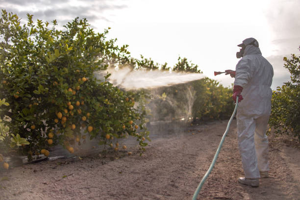 Trusted Grosse Pointe Farms, MI Pest Control Experts
