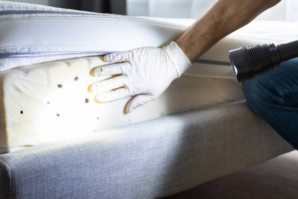 Pest Control for Restaurants in Grosse Pointe Farms, MI