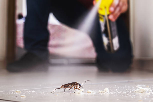 Best Insect Control  in Grosse Pointe Farms, MI