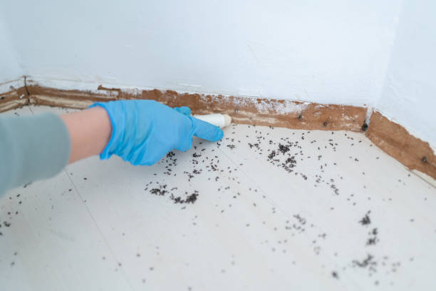Best Pest Removal Services  in Grosse Pointe Farms, MI