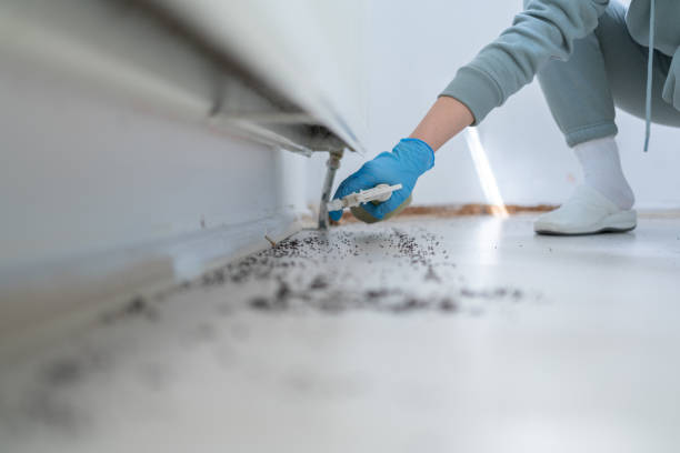 Best Wasp Removal Services  in Grosse Pointe Farms, MI