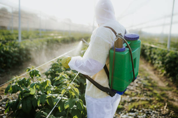Best Ant Control Services  in Grosse Pointe Farms, MI